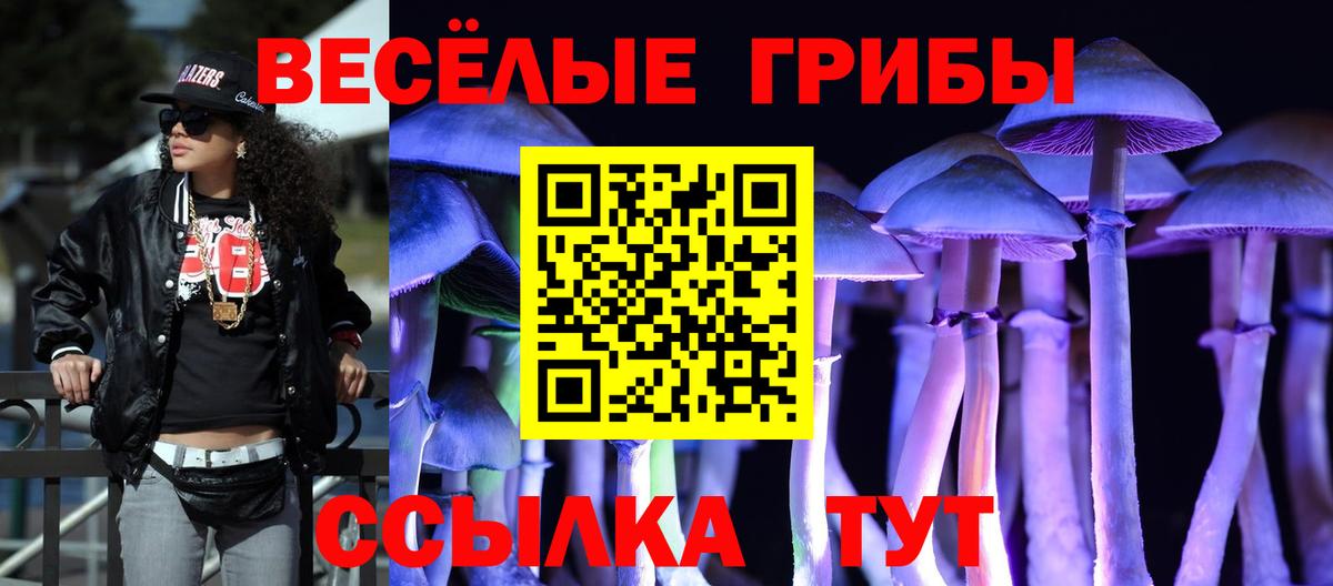 Галлюциногенные грибы Psilocybine cubensis Новодвинск