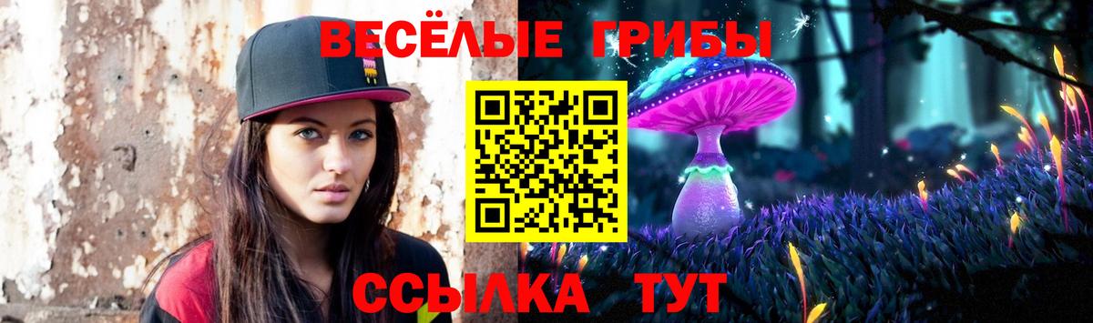 где купить наркоту  Галлюциногенные грибы мицелий  Псилоцибиновые грибы Psilocybine cubensis  Вход с VPN  Новодвинск 